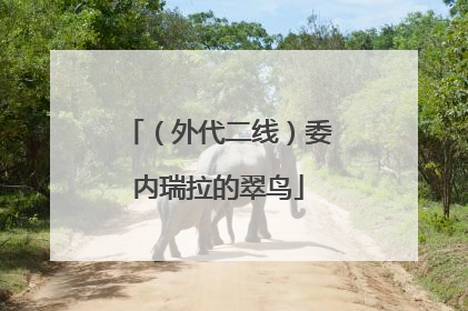 （外代二线）委内瑞拉的翠鸟