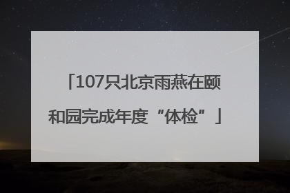 107只北京雨燕在颐和园完成年度“体检”