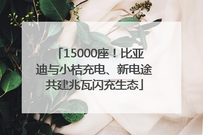15000座！比亚迪与小桔充电、新电途共建兆瓦闪充生态