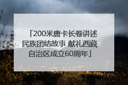 200米唐卡长卷讲述民族团结故事 献礼西藏自治区成立60周年