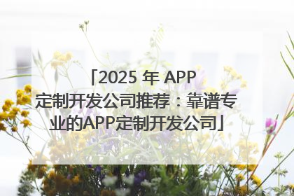 2025 年 APP 定制开发公司推荐：靠谱专业的APP定制开发公司