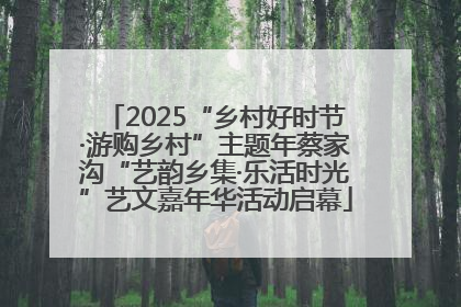 2025“乡村好时节·游购乡村”主题年蔡家沟“艺韵乡集·乐活时光”艺文嘉年华活动启幕