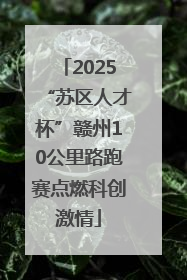 2025“苏区人才杯”赣州10公里路跑赛点燃科创激情