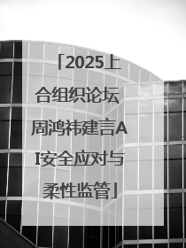 2025上合组织论坛 周鸿祎建言AI安全应对与柔性监管