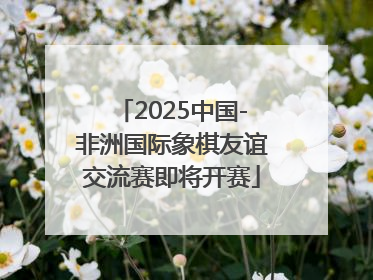 2025中国-非洲国际象棋友谊交流赛即将开赛