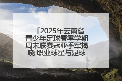 2025年云南省青少年足球春季学期周末联赛冠亚季军揭晓 职业球星与足球小将共享荣耀时刻