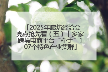 2025年廊坊经洽会亮点抢先看（五）丨多家跨境电商平台“牵手”107个特色产业集群