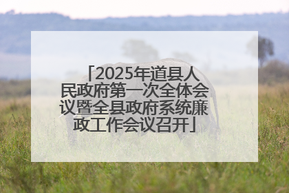 2025年道县人民政府第一次全体会议暨全县政府系统廉政工作会议召开