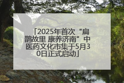2025年首次“扁鹊故里 康养济南”中医药文化市集于5月30日正式启动