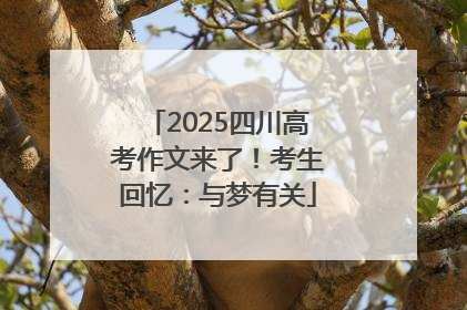 2025四川高考作文来了！考生回忆：与梦有关