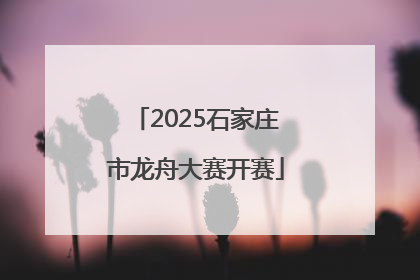 2025石家庄市龙舟大赛开赛