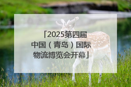 2025第四届中国（青岛）国际物流博览会开幕