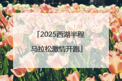 2025西湖半程马拉松激情开跑