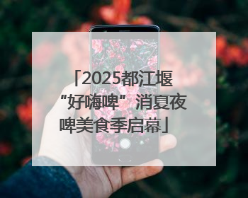 2025都江堰“好嗨啤”消夏夜啤美食季启幕