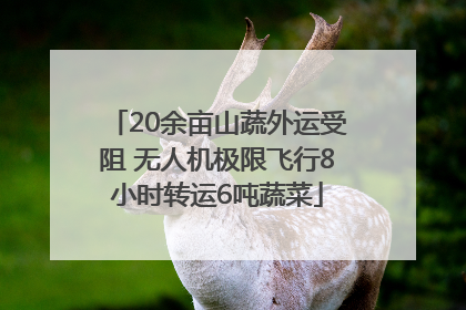 20余亩山蔬外运受阻 无人机极限飞行8小时转运6吨蔬菜