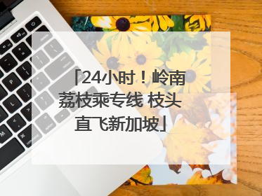 24小时！岭南荔枝乘专线 枝头直飞新加坡