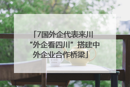 7国外企代表来川 “外企看四川”搭建中外企业合作桥梁