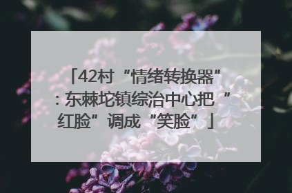 42村“情绪转换器”：东棘坨镇综治中心把“红脸”调成“笑脸”