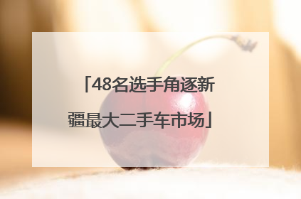 48名选手角逐新疆最大二手车市场