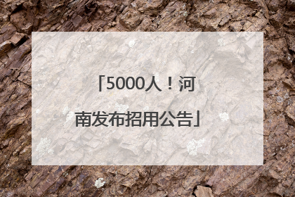 5000人！河南发布招用公告