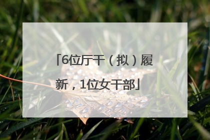 6位厅干（拟）履新，1位女干部