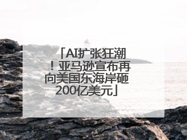AI扩张狂潮！亚马逊宣布再向美国东海岸砸200亿美元