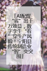 AI配煤“省”出千万效益，数字孪生“看”穿生产风险！宁阳县传统制造业“智”变突围