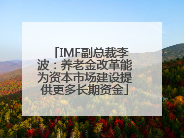IMF副总裁李波：养老金改革能为资本市场建设提供更多长期资金