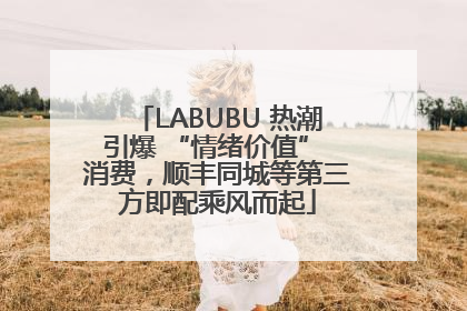 LABUBU 热潮引爆 “情绪价值” 消费，顺丰同城等第三方即配乘风而起