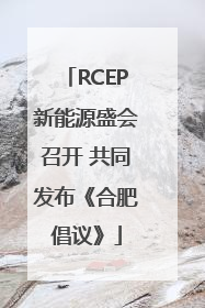 RCEP新能源盛会召开 共同发布《合肥倡议》